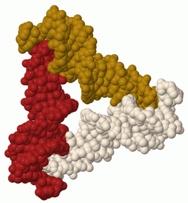 Image Biol.Unit 1 - manually