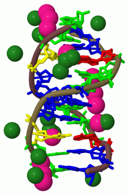 Image Biol.Unit 1 - manually