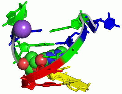 Image Asym./Biol. Unit - manually