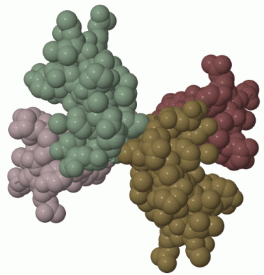 Image Biol.Unit 1 - manually