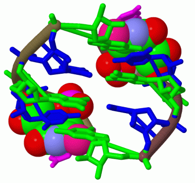 Image Biol.Unit 1 - manually