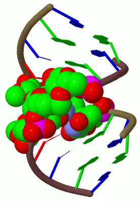 Image Biol.Unit 1 - manually