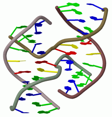 Image Biol.Unit 1 - manually