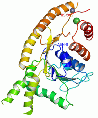 Image Asym.Unit - manually