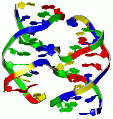 Image Asym./Biol. Unit - manually