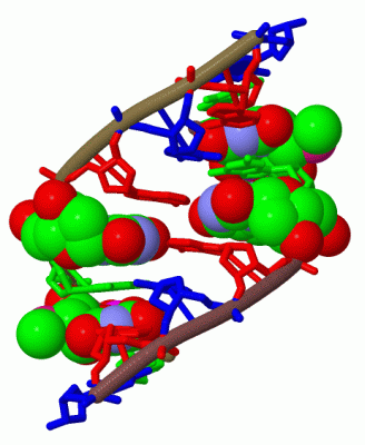 Image Biol.Unit 1 - manually