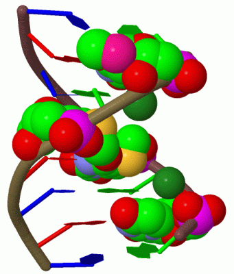 Image Biol.Unit 1 - manually