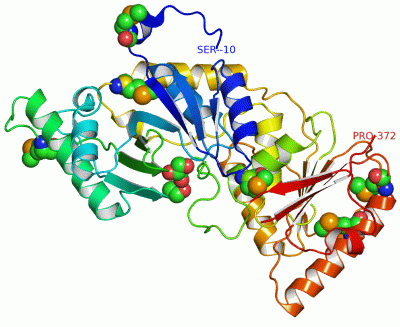 Image Asym./Biol. Unit - manually