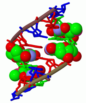 Image Biol.Unit 1 - manually