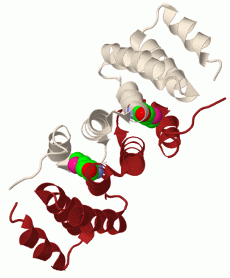 Image Biol.Unit 1 - manually