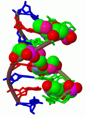 Image Biol.Unit 1 - manually