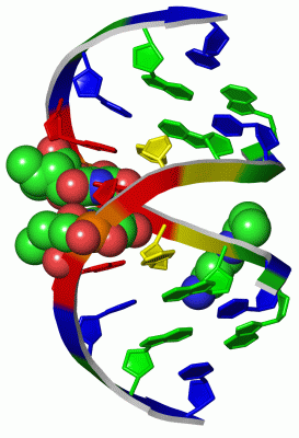 Image Asym./Biol. Unit - manually