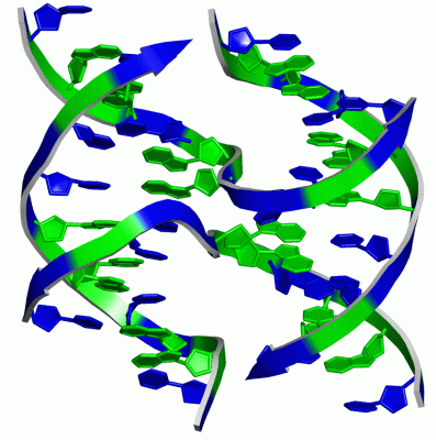 Image Asym./Biol. Unit - manually