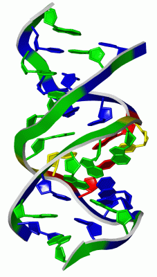 Image Asym./Biol. Unit - manually