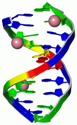 Image Asym./Biol. Unit - manually